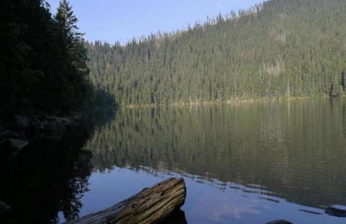 Ferienhaus in Rinchnach am Arbersee - Foto 28