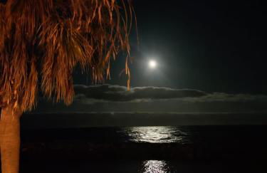 COQUETO VISTAS AL MAR - Foto 37