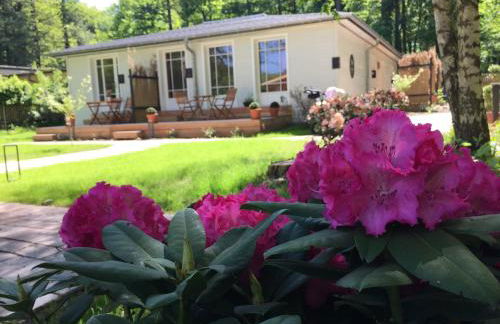 Little Suite Apartments - Foto 58