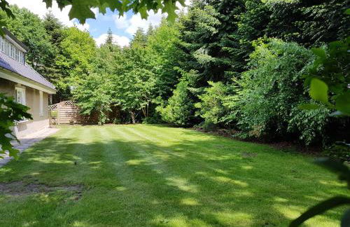 Ferienhaus Hof Amelung - Foto 18