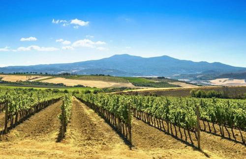 Le Casine di Tuscany Maremma Saturnia - Foto 43