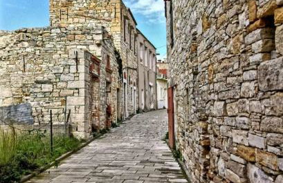 Alexandrino - Foto 31