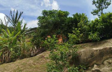 Canto dos Pássaros, Sana - Photo 31