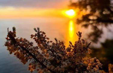 Il sogno del capitano - Photo 25