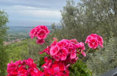 Villa Maria - Foto 17