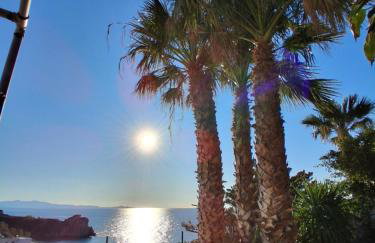 Blue Bliss - Foto 5
