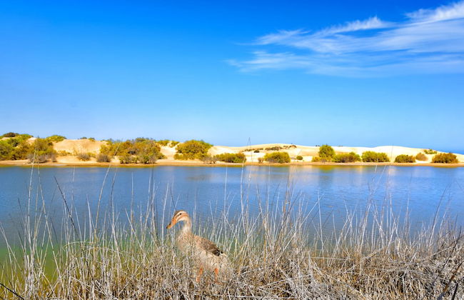 Apartamentos Tamara - Foto 51