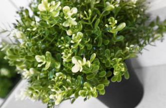 Wonderful 6ppl Apt 5 min walking Design District 2 - Foto 34