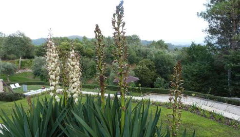 Quinta do Correia - Foto 5, Garden