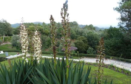 Quinta do Correia - Foto 5