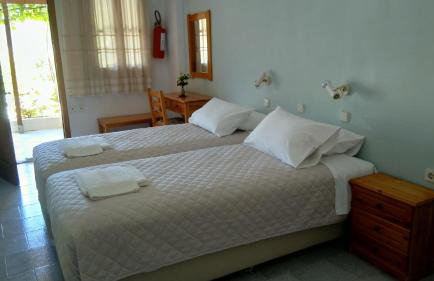 Kamelia - Foto 5
