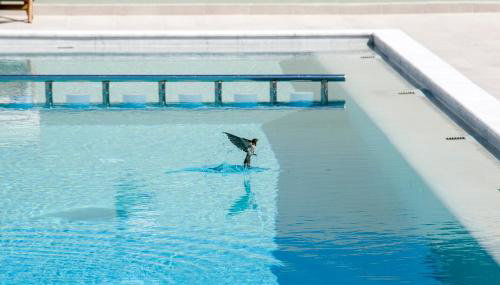 Incognito Creta Luxury Suites and More - Foto 4