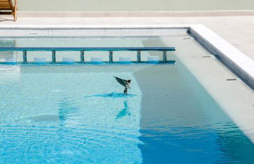 Incognito Creta Luxury Suites and More - Photo 4