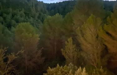 4BR Villa w private pool near beach Oliva Valencia - Foto 12