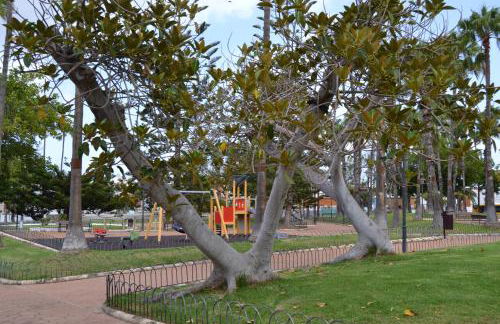 FABULOSO Penthouse LAS PALMAS - Foto 65