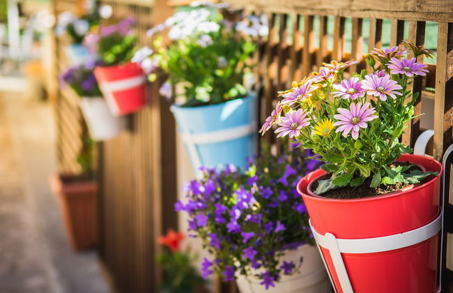 Ilaeira Mountain Resort - Foto 62