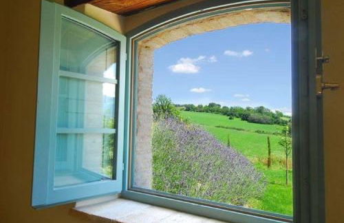 Agriturismo Molleone - Foto 16