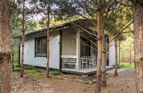 Sosnowy Raj domki nad rzeką Wkrą - Foto 70