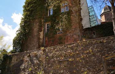 Ferienwohnung in Waldrandlage in Nationalpark Schleiden / Eifel - Foto 36