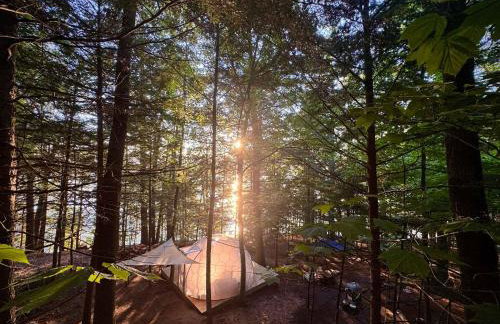 Hammock Haven Island Dome - Foto 1