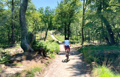 Beautiful Lymington New Forest Getaway - Foto 21