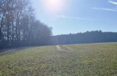 Ferienhaus Alex - Foto 6