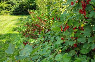 Smrekowa Chatka w Milówce - Foto 58