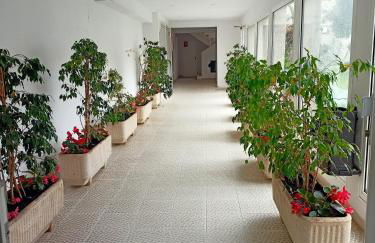 Residencial Casablanca 302A, Playa Romana Alcossebre - Foto 11