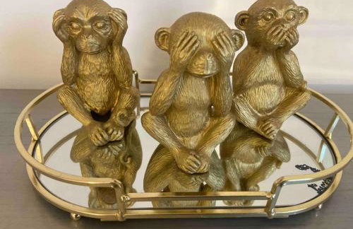 Ivy Mount Boutique - Foto 38