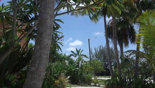 Gorgeous Lakeview Front Lake Osborne - Foto 4