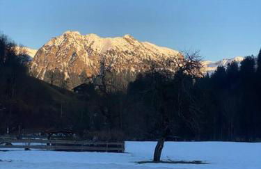 Grünes Stüble Allgäuer Alpen - Foto 8