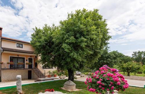 Apartment Luma - Foto 6