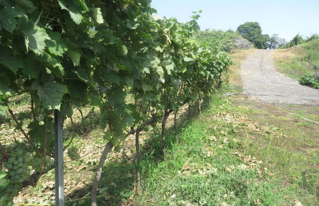 Le Case del Merlo - Foto 27