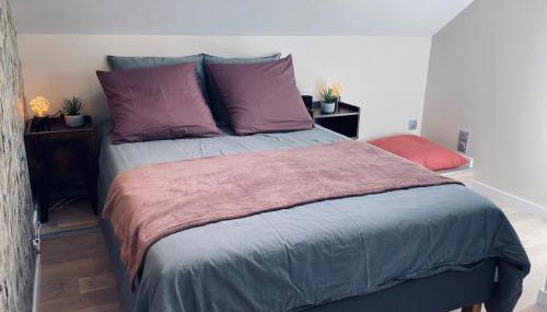 La bulle des Viennes MAISON CLIMATISEE - CHAMPAGNE - Foto 5