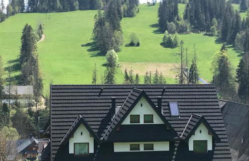 Tatrzańskie Zacisze Suche - Foto 31