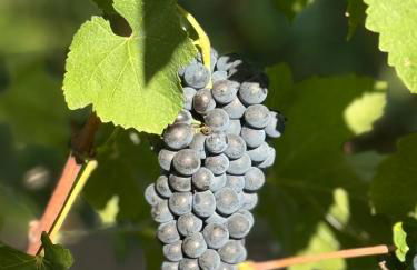 Agriturismo Re di Fiori - Foto 56