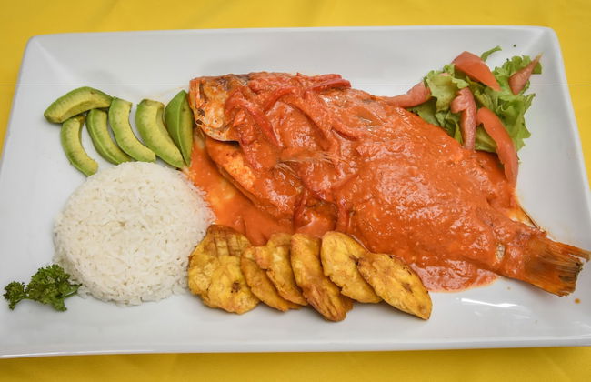 Acuarium Suite Resort - Foto 20