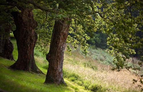 Clos Mirabel Manor - Holiday rental - Foto 63