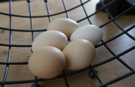 FeWo Harz mit Herz Familienfreundliches Paradies im Harz - Foto 16