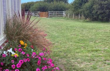 Dune View Caravan - Foto 10