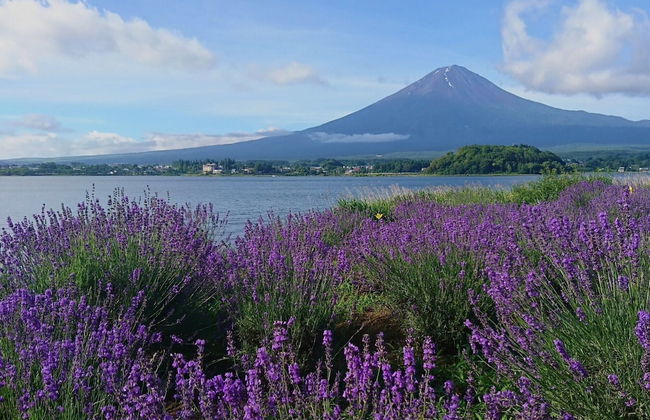 Lake Villa Kawaguchiko - Photo 52