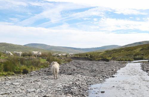 Llechwedd Mawr - Photo 14