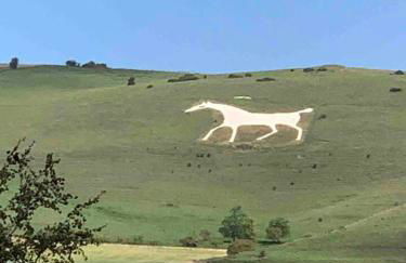 Cosy Rural Retreat, Sleeps 3 & Petfriendly - Foto 71