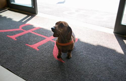 Rex Hotel Residence - Foto 48