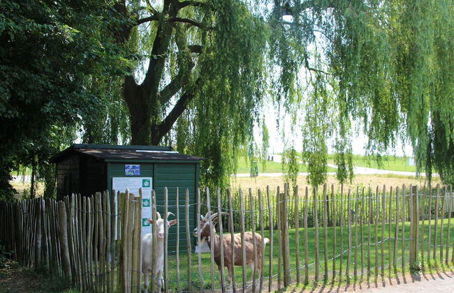 Zevenhuizen Stay With Bubble Bath - Foto 21