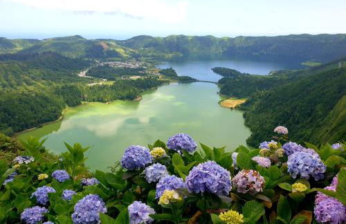 Vila Pilar Mar - Rural Apartment in the Countryside of São Miguel - Photo 10