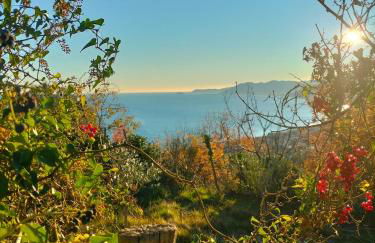 A Carubba du Bungiurnu - Foto 17