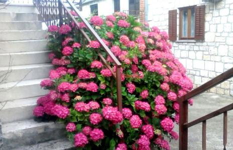 Holiday house "Dolka" - Photo 12