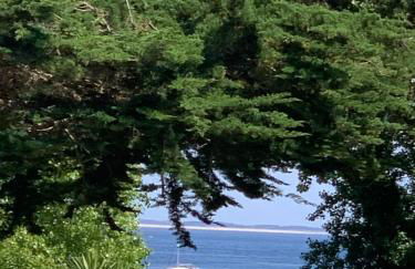 Côté plage - Photo 1