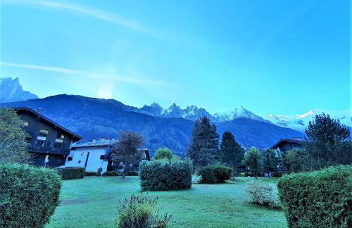 Chamonix Appartement Vue Mont Blanc avec jardin - Foto 17
